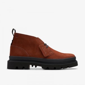 Clarks Badell Desert Boot Smeđe | CLKS-84574