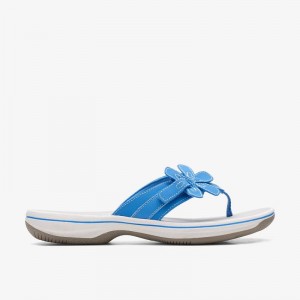Clarks Brinkley Flora Plave | CLKS-84957