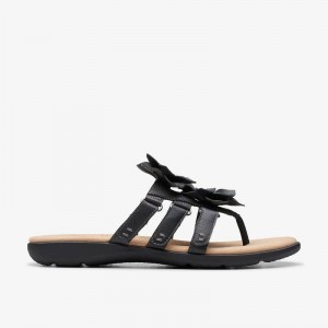 Clarks Elizabelle Mae Crne | CLKS-84968