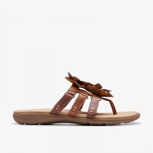 Clarks Elizabelle Mae Smeđe | CLKS-84967