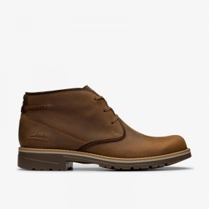 Clarks Morris Peak Smeđe | CLKS-84600