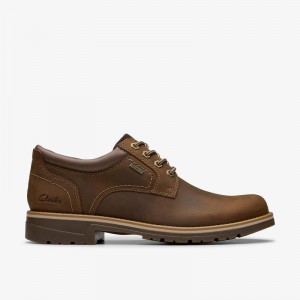 Clarks Morwell Plain Smeđe | CLKS-84438