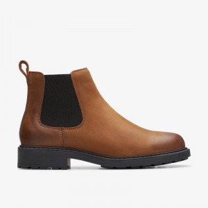 Clarks Orinoco 2 Lane Smeđe | CLKS-85572