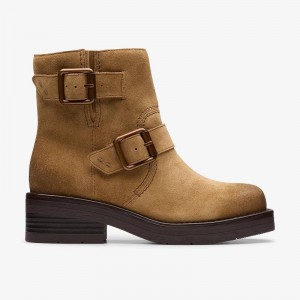 Clarks Rebelle Buckle Smeđe | CLKS-85517