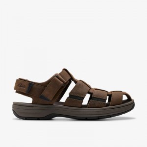 Clarks Saltway Cove Tamno Smeđe | CLKS-84217