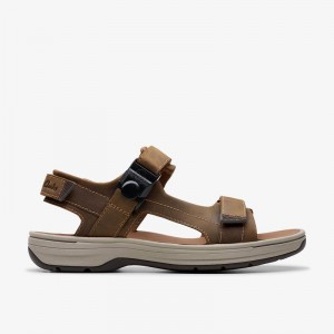 Clarks Saltway Trail Svijetlo Smeđe | CLKS-84218