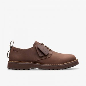Clarks Solsbury Lace Tamno Smeđe | CLKS-84326