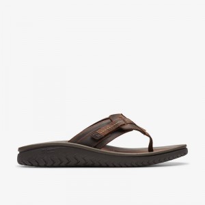 Clarks WESLEY SUN Smeđe | CLKS-84214