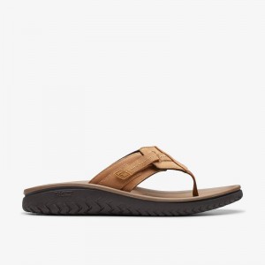 Clarks WESLEY SUN Smeđe | CLKS-84215