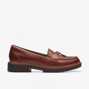 Clarks Westlynn Bella Smeđe | CLKS-85360